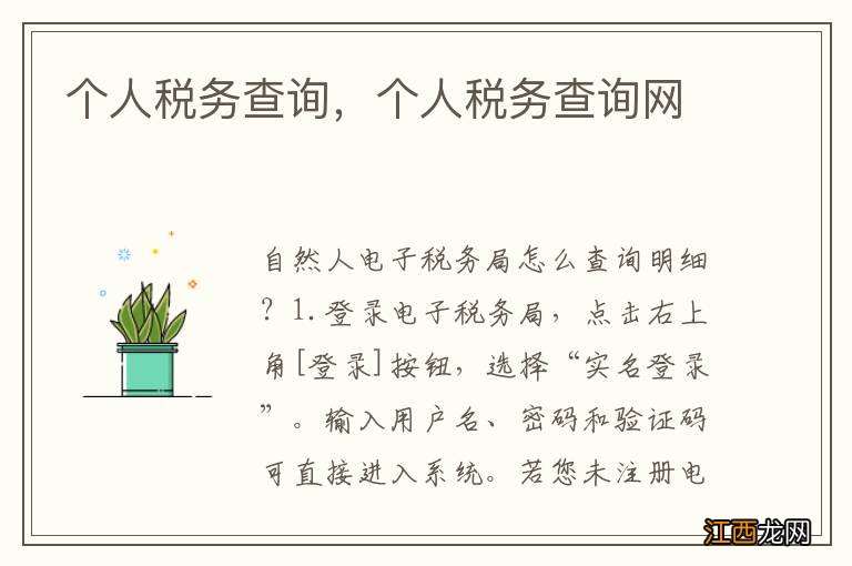 个人税务查询，个人税务查询网