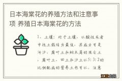 日本海棠花的养殖方法和注意事项 养殖日本海棠花的方法