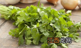 香菜怎样种植方法 香菜怎么种植方法