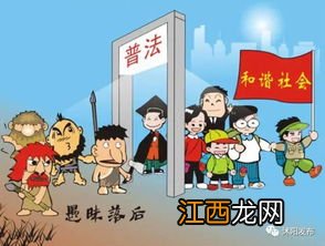 为什么要树立法治思维