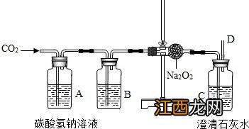 二氧化碳怎么生成氧气