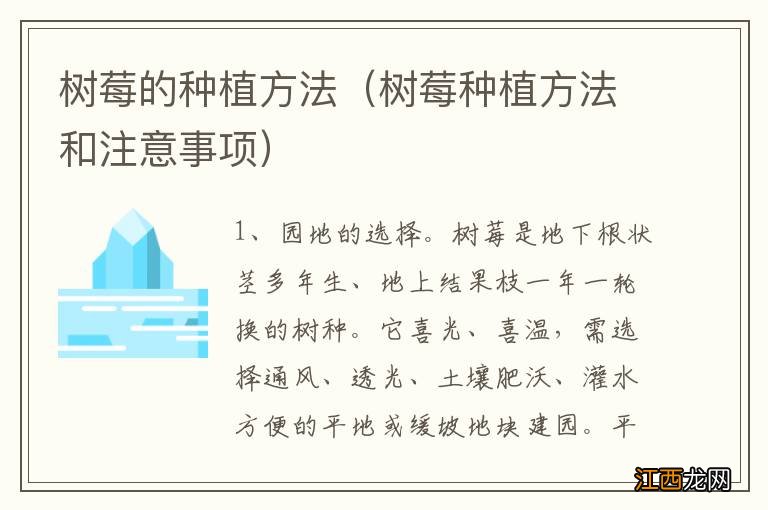 树莓种植方法和注意事项 树莓的种植方法