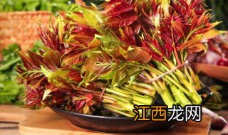 四季速生香椿种植方法和时间 四季速生香椿种植方法