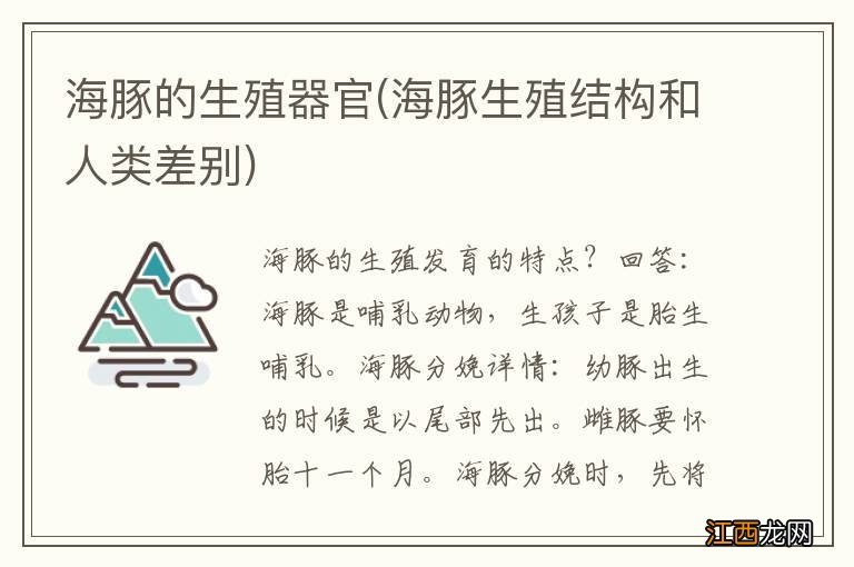 海豚生殖结构和人类差别 海豚的生殖器官