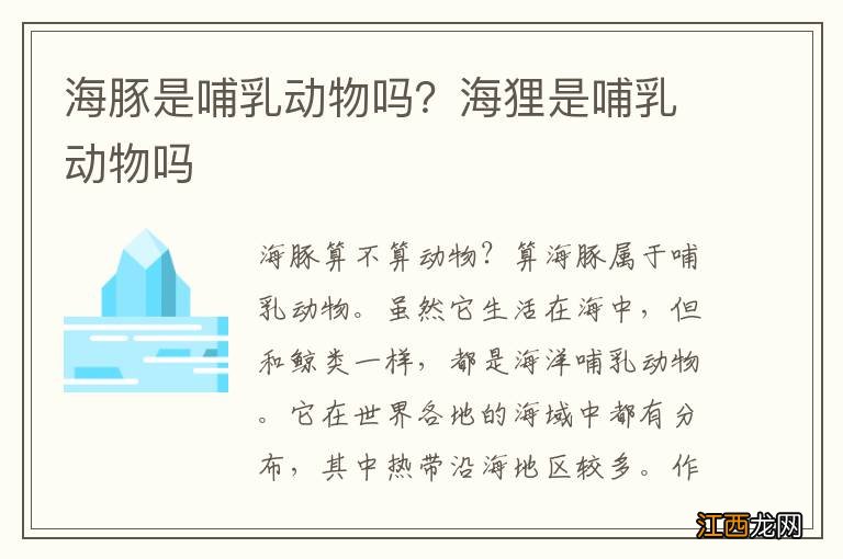 海豚是哺乳动物吗？海狸是哺乳动物吗