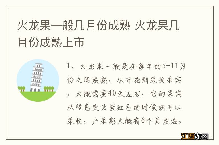 火龙果一般几月份成熟 火龙果几月份成熟上市