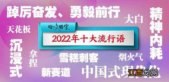 你的2022“热词”是什么？