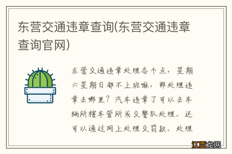 东营交通违章查询官网 东营交通违章查询