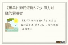 《黑羊》游民评测6.7分 用力过猛的霸凌者