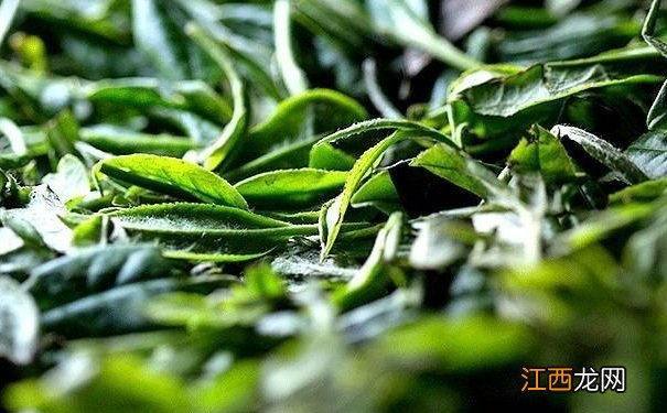 一天喝多少茶合适？喝茶过多的危害？