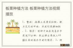 板栗种植方法 板栗种植方法视频播放