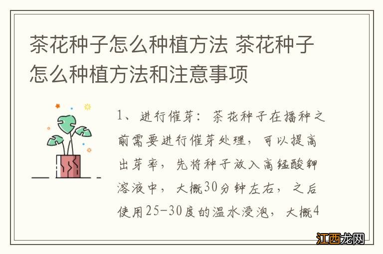 茶花种子怎么种植方法 茶花种子怎么种植方法和注意事项