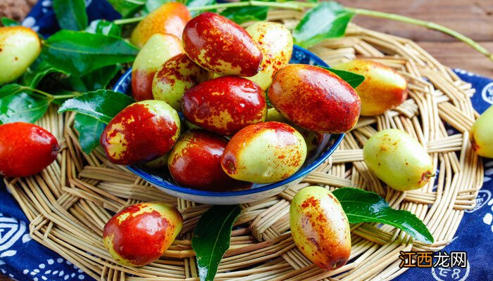 枣树冬季修剪技术要点 枣树修剪技术要点