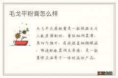 毛戈平粉膏怎么样