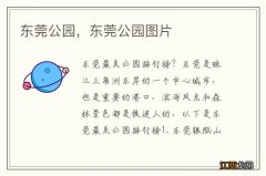 东莞公园，东莞公园图片