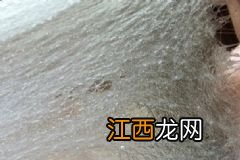 夏天适合用蒸脸器吗？夏天用蒸脸器有什么好处？