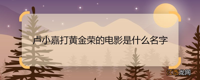 卢小嘉打黄金荣的电影是什么名字 郑则仕拍的黄金荣打卢筱嘉什么电影