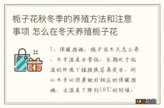 栀子花秋冬季的养殖方法和注意事项 怎么在冬天养殖栀子花