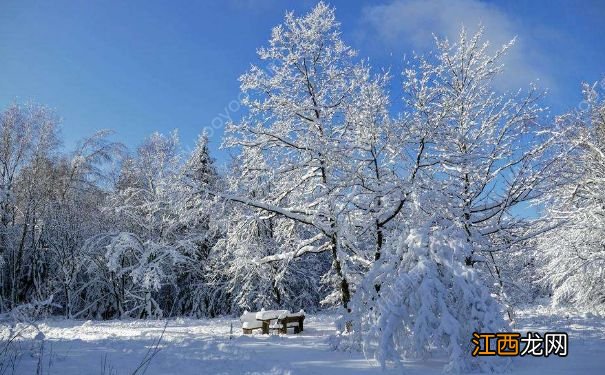 冬季饮食的注意事项是什么？冬季下雪天该如何穿衣？