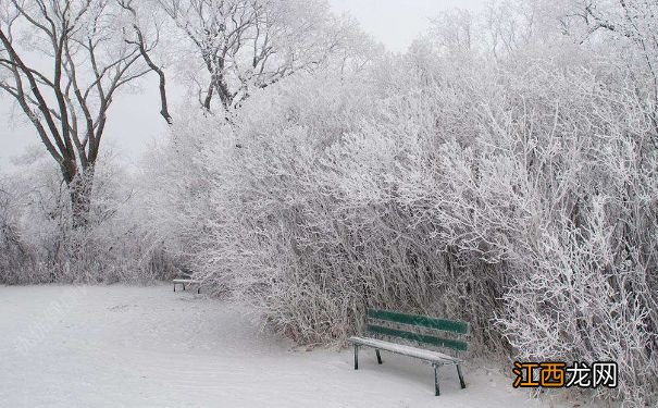 冬季饮食的注意事项是什么？冬季下雪天该如何穿衣？