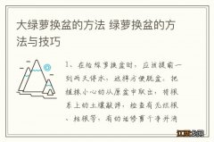 大绿萝换盆的方法 绿萝换盆的方法与技巧