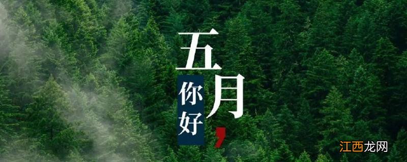 关于赞美5月的开场白