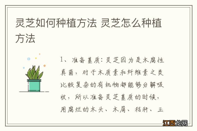 灵芝如何种植方法 灵芝怎么种植方法