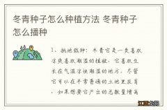 冬青种子怎么种植方法 冬青种子怎么播种