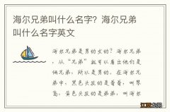 海尔兄弟叫什么名字？海尔兄弟叫什么名字英文