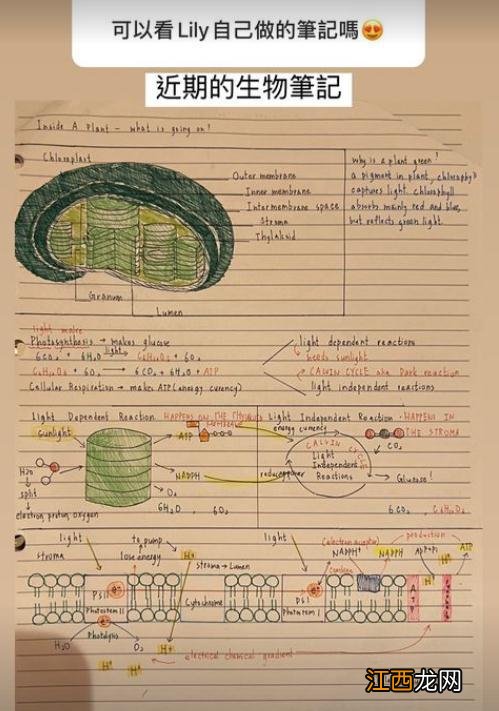 小S二女儿晒课堂笔记，生物作业像学霸，数学题却做得很潦草