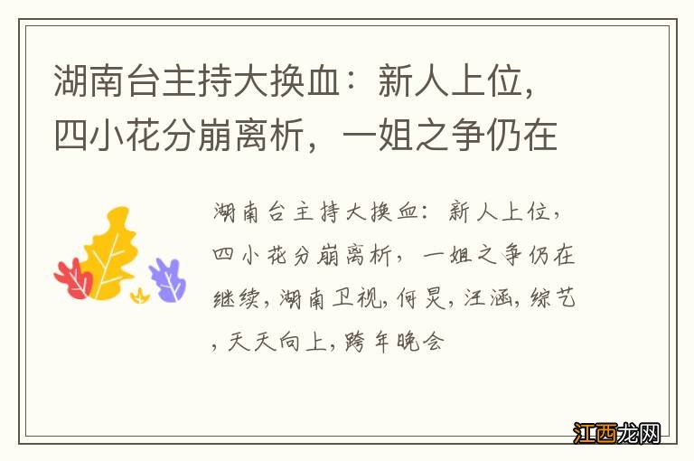 湖南台主持大换血:新人上位,四小花分崩离析,一姐之争仍在继续