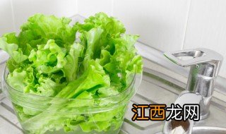 圆生菜和生菜区别 圆生菜和生菜有什么区别