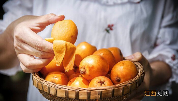 枇杷果新生苗几年会结果呢 枇杷果新生苗几年会结果