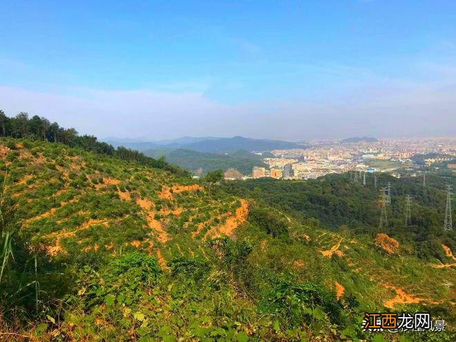 藏于广州闹市的这片山，少有人知的世外桃源，看看到底有多美！