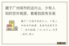 藏于广州闹市的这片山，少有人知的世外桃源，看看到底有多美！