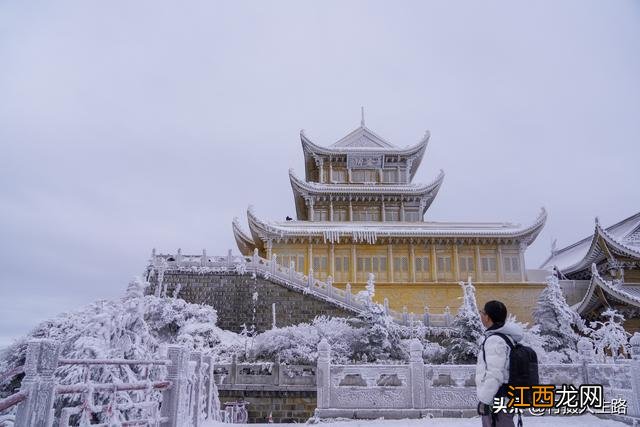 冬游峨眉，踏进“雾凇”织就的绝美仙境