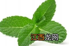 生理期最好的补血汤有哪些？女人生理期喝什么汤补血？