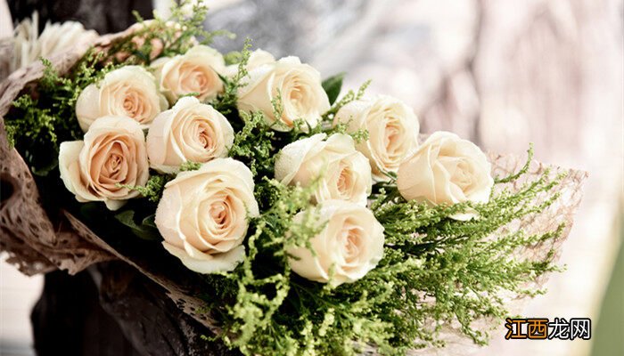 19朵粉玫瑰代表什么意义 19朵粉玫瑰代表什么