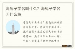 海兔子学名叫什么？海兔子学名叫什么鱼