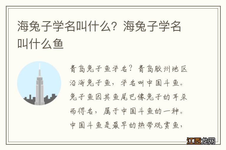 海兔子学名叫什么？海兔子学名叫什么鱼