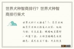 世界犬种智商排行？世界犬种智商排行柴犬