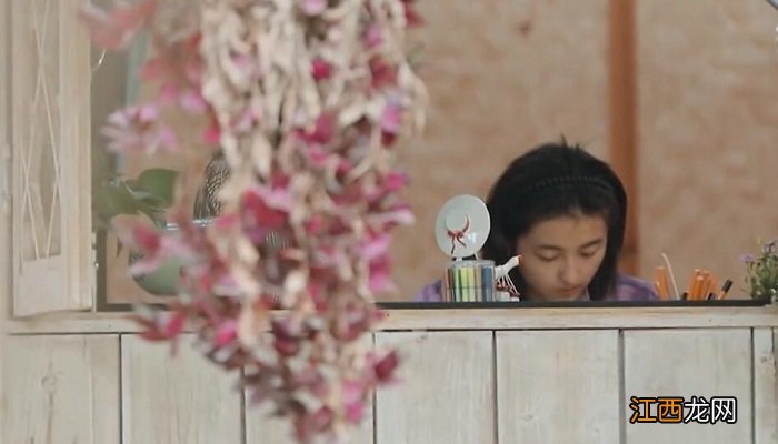 向往的生活在西双版纳哪个寨子 向往的生活4在什么地方拍摄