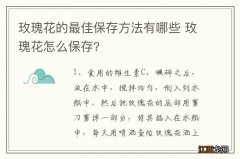 玫瑰花的最佳保存方法有哪些 玫瑰花怎么保存?