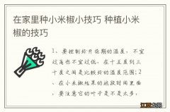 在家里种小米椒小技巧 种植小米椒的技巧