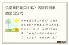 浪潮集团是国企吗？济南浪潮集团是国企吗