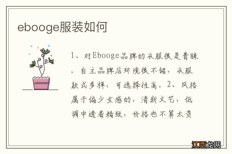 ebooge服装如何