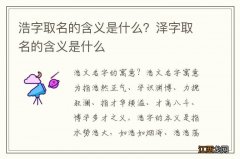 浩字取名的含义是什么？泽字取名的含义是什么