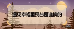 遇见幸福里易台是谁演的 遇见幸福易台的扮演者