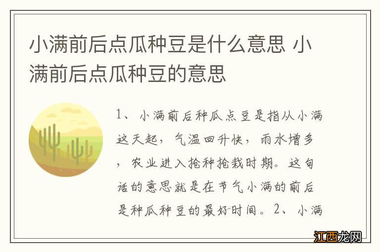 小满前后点瓜种豆是什么意思 小满前后点瓜种豆的意思