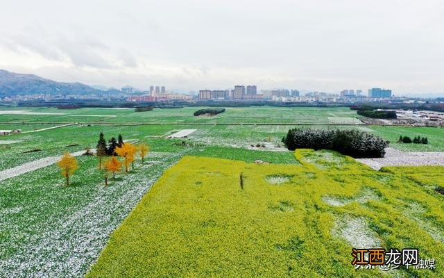 云南罗平：雪落小城美如画